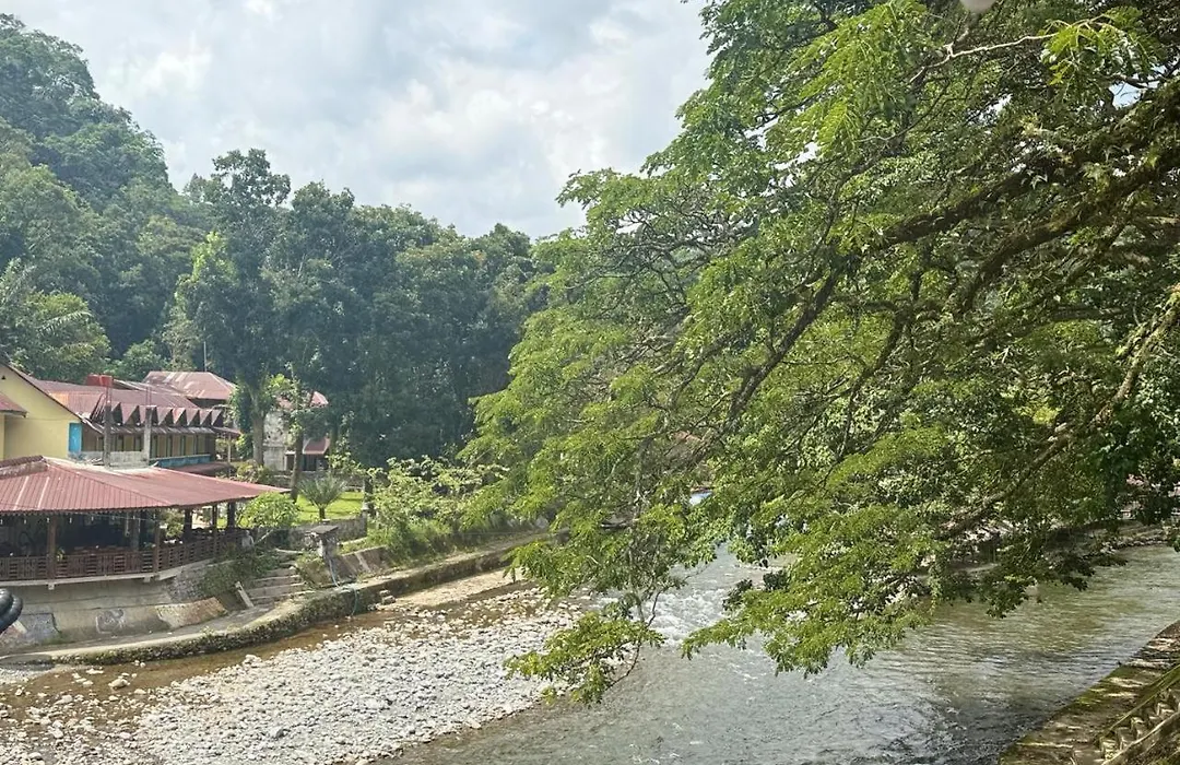 Jungle Life Guesthouse Trekking & Transport Book With Us-1