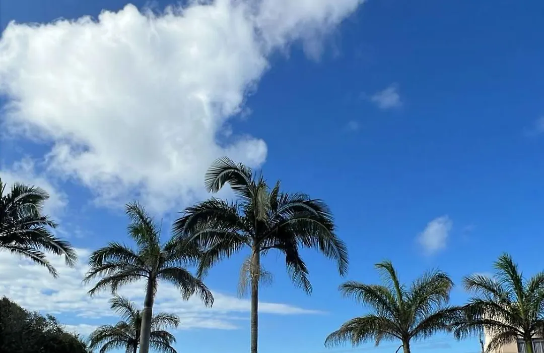 Paradise-1