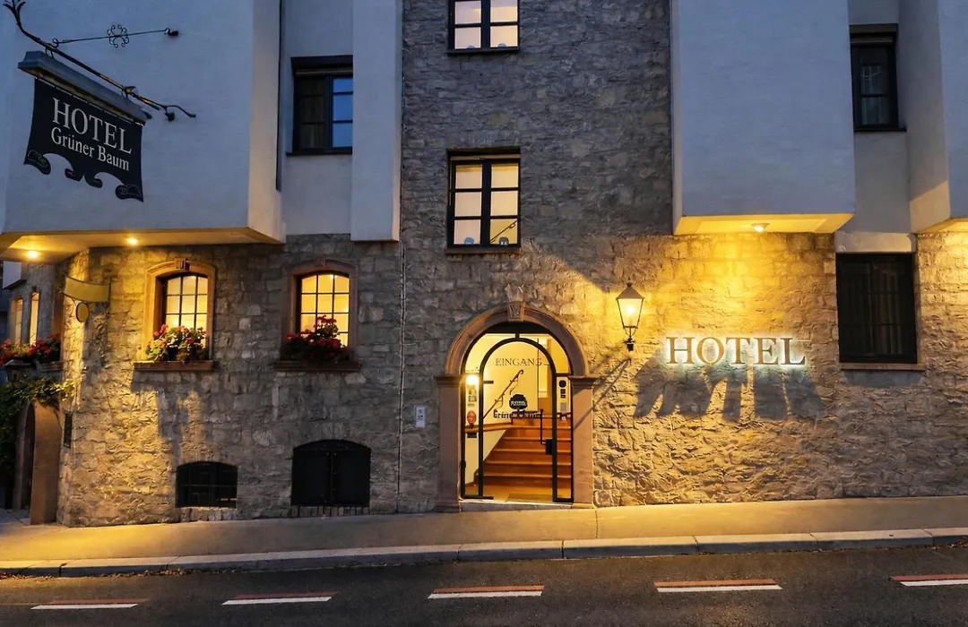 Hotel Gruener Baum-1
