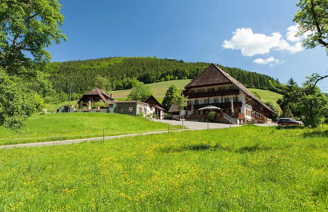 Landgasthaus Grüner Baum-1