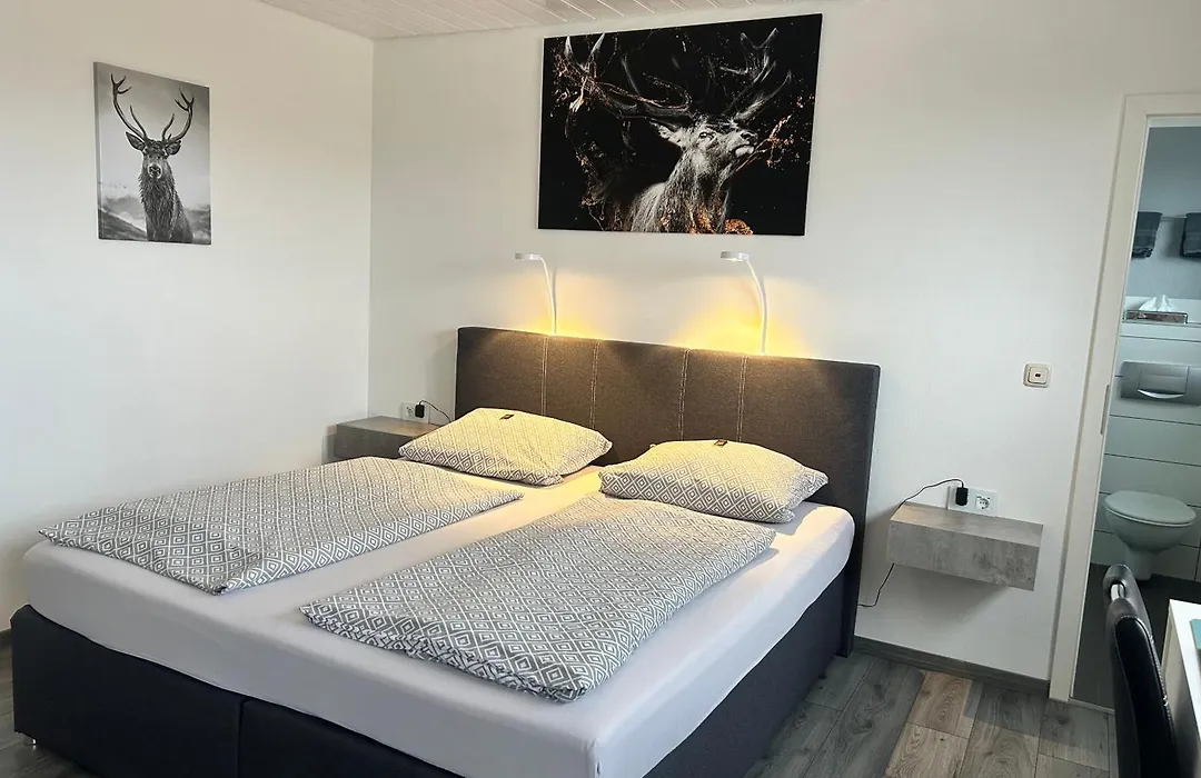 Hotel Brunnenbach-1