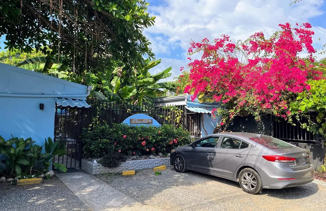 Hotel Perico Azul&Surf Camp-1