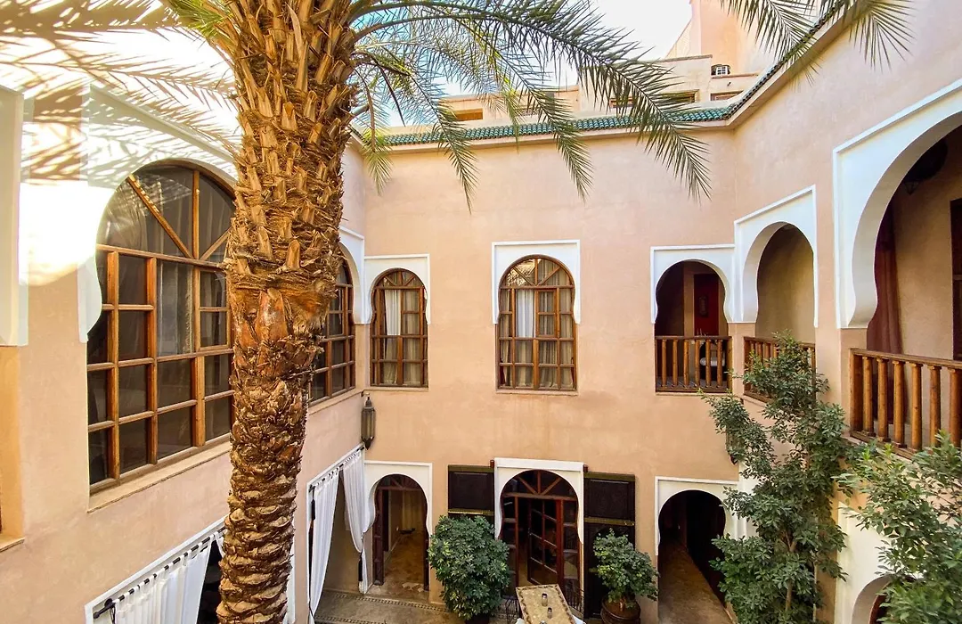 Riad Selouane-1