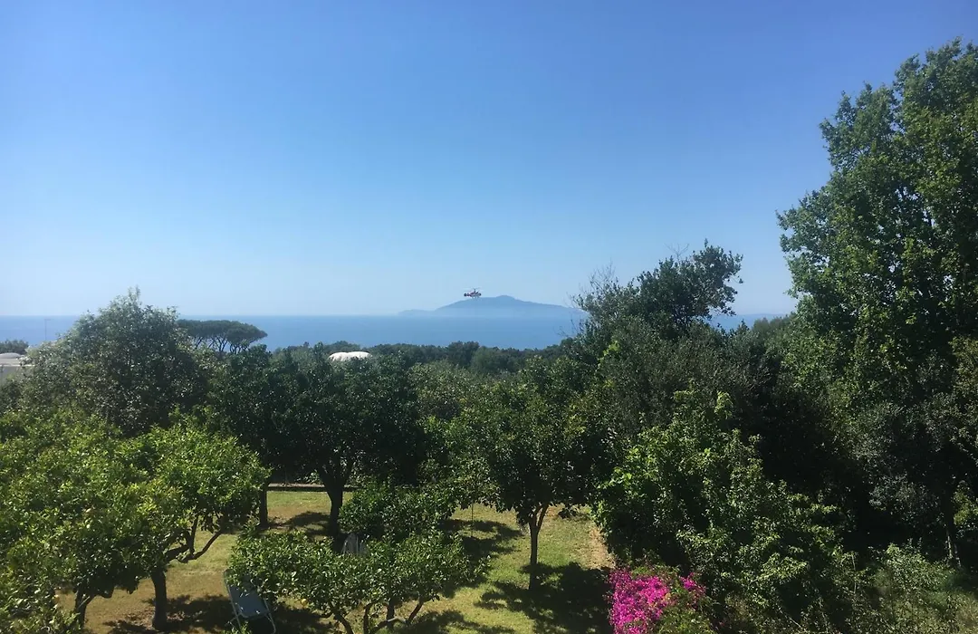 Hotel Al Mulino - Mediterranean Garden Retreat In Anacapri-1