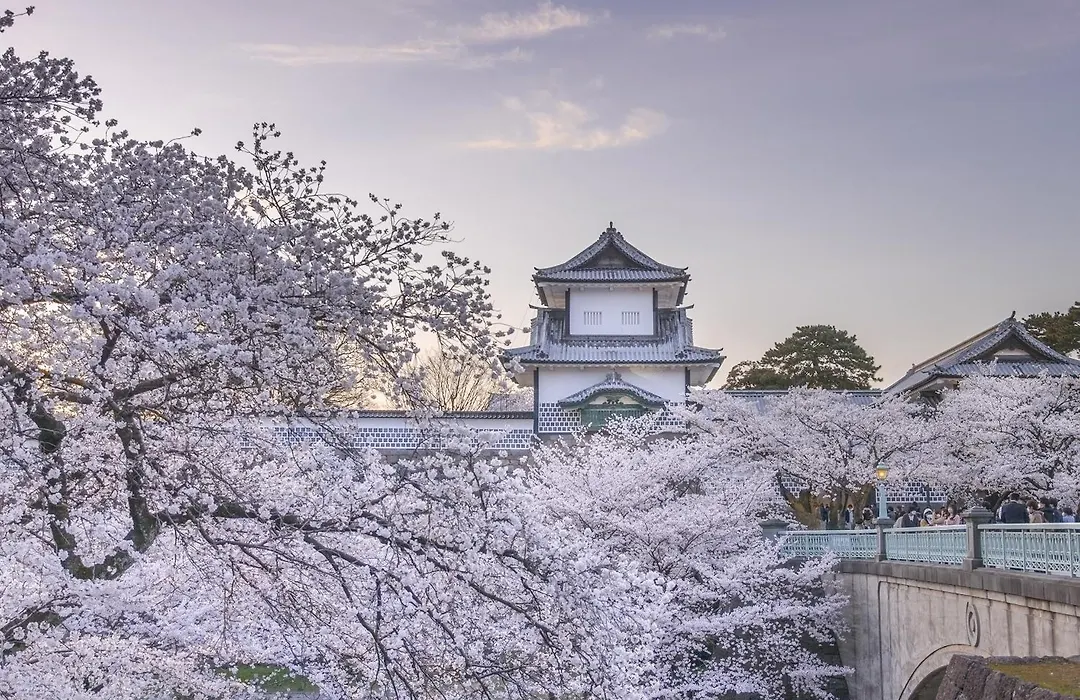 Uan Kanazawa-1