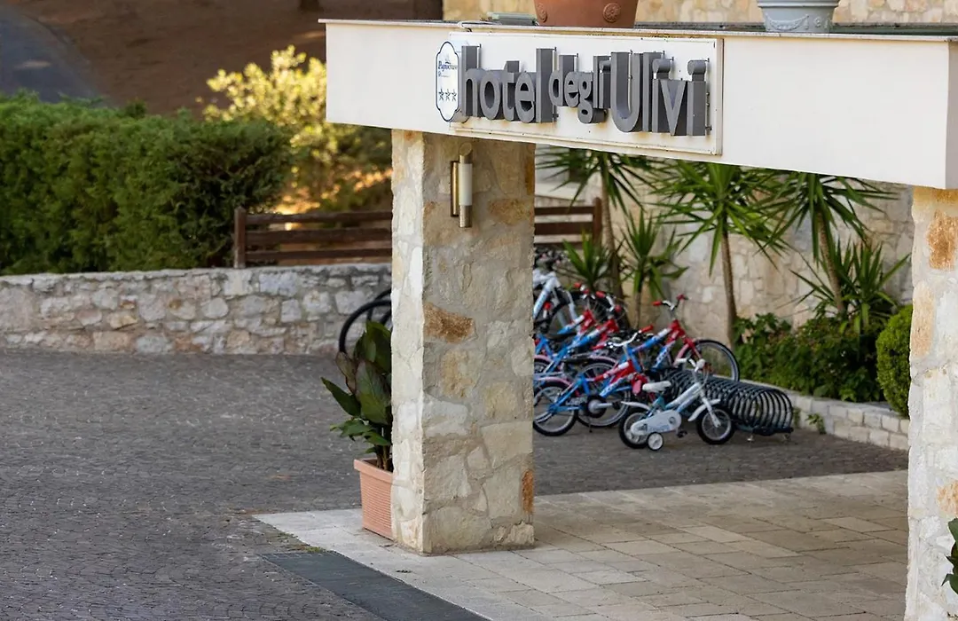 Hotel Degli Ulivi-1