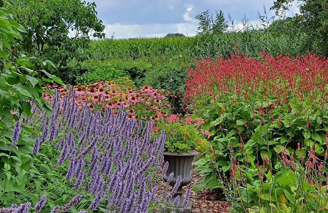 Bed&Breakfast De Stippelberg-1