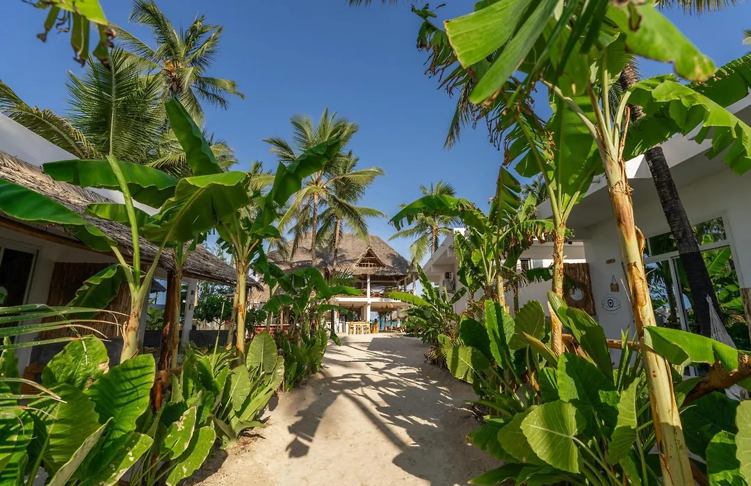 Maisha Matamu Boutique-1