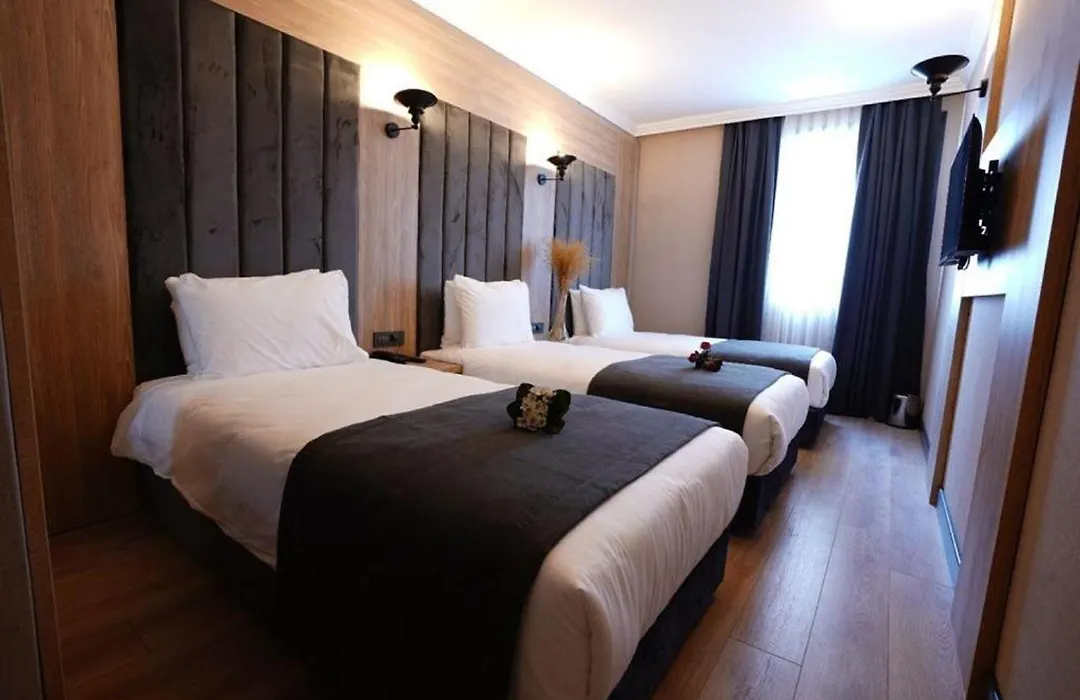 Mineo Hotel Taksim-1