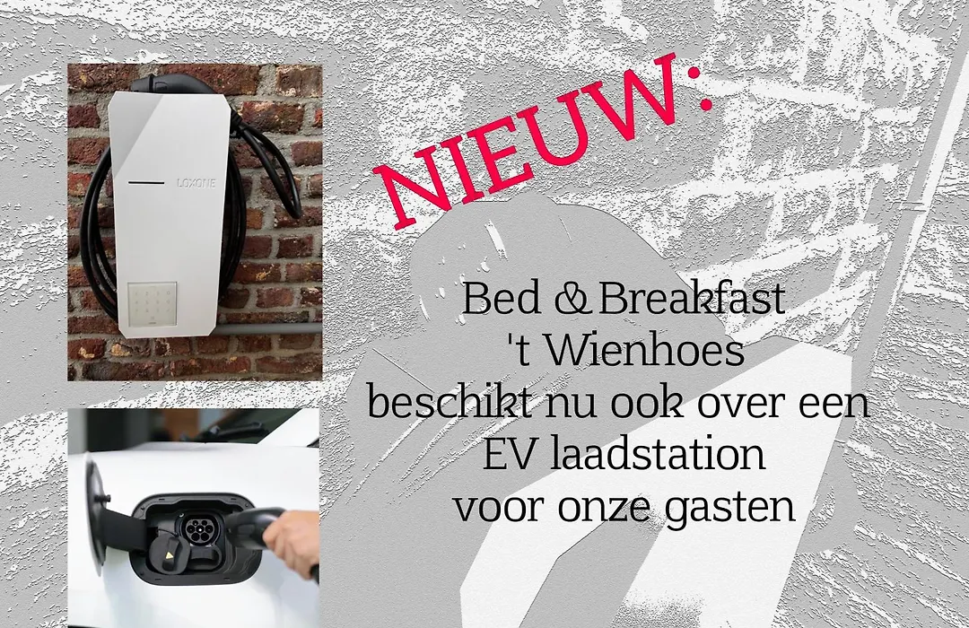 B&B en Vakantiewoningen 't Wienhoes-1