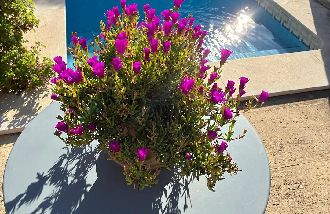 Mar Verde - Parede-Cascais-1