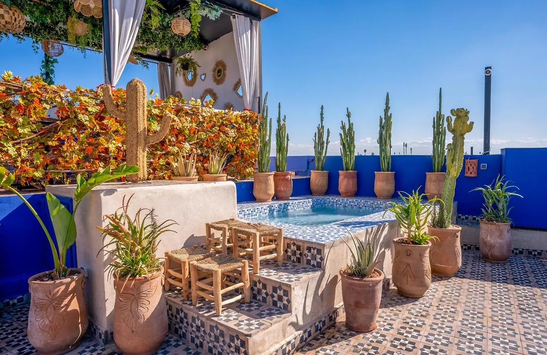 Riad Reve De Samir-1