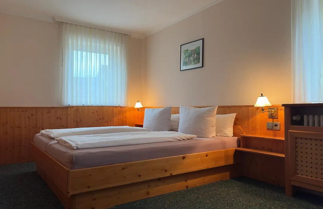 Hotel Rebstock Rust-1