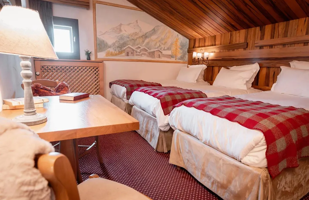 Hotel Alpen Ruitor-1