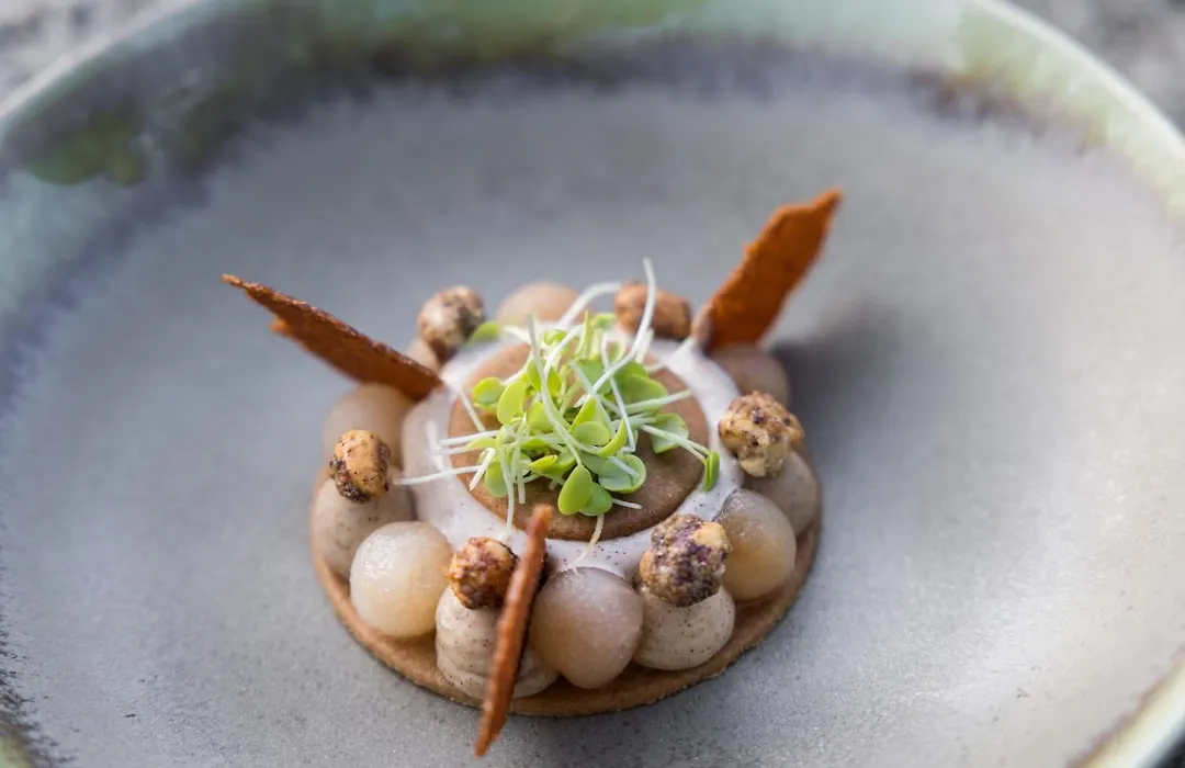 La Gree Des Landes - Eco-Hotel-Spa Yves Rocher-1