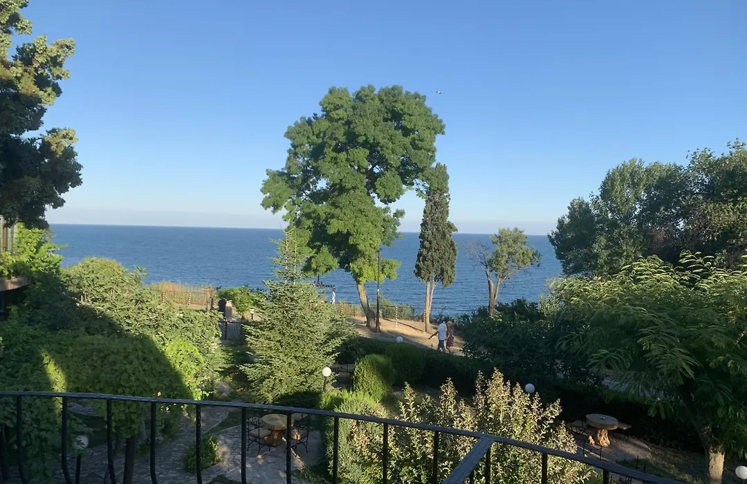 Complex Maxim - Sea View-1