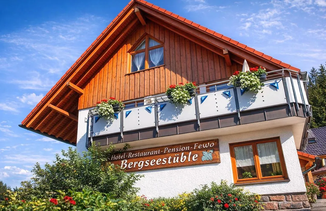 Self-check-in Ferienwohnungen&Apartments am Bergsee-1
