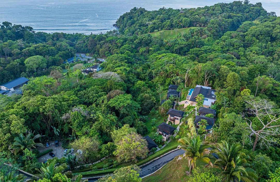 Tiki Villas Rainforest Lodge - Adults Only-1