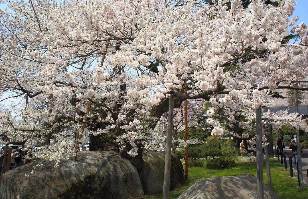 Daiwa Roynet Hotel Morioka-1
