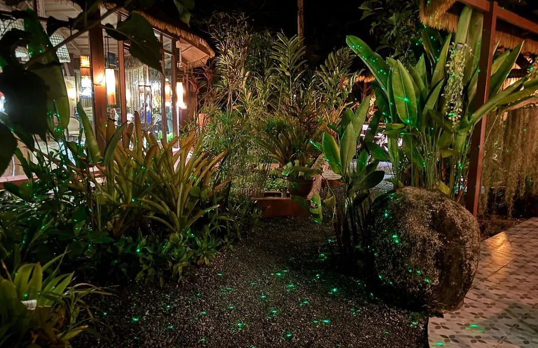 Relax Eco Life Center-Khao Lak-1
