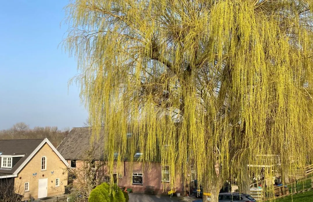 B&B Het Boenhok-1