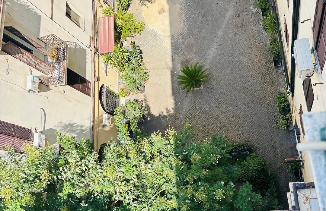 Vertex Palace-1