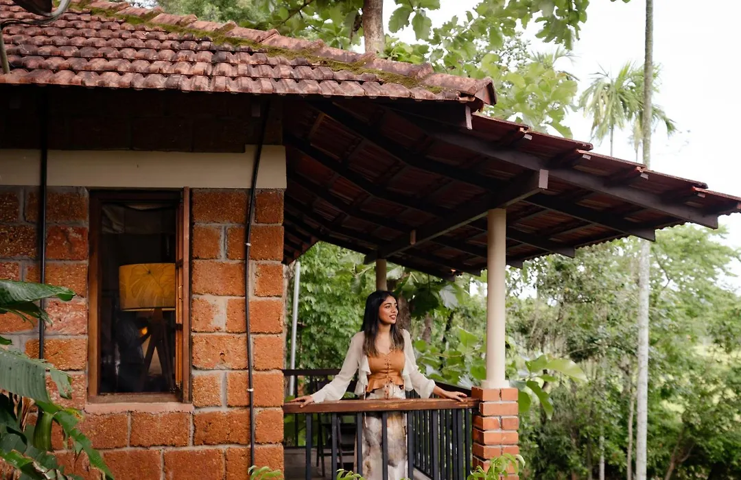 Raindrops Resorts Wayanad-1