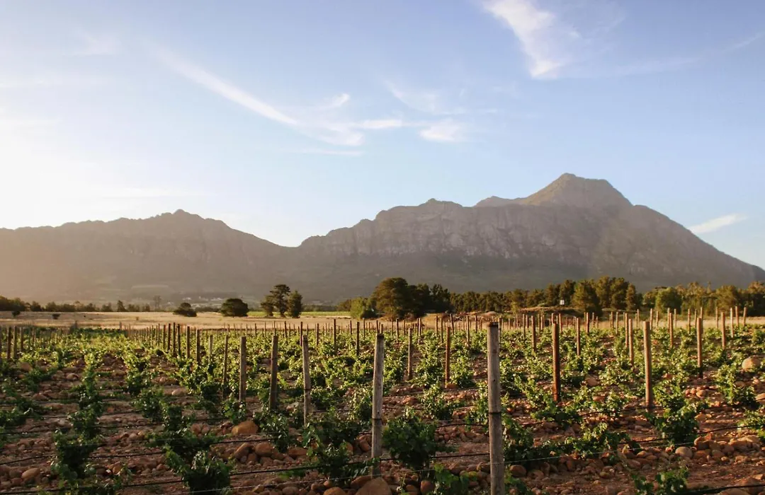 Duikersdrift Winelands Country Escape-1