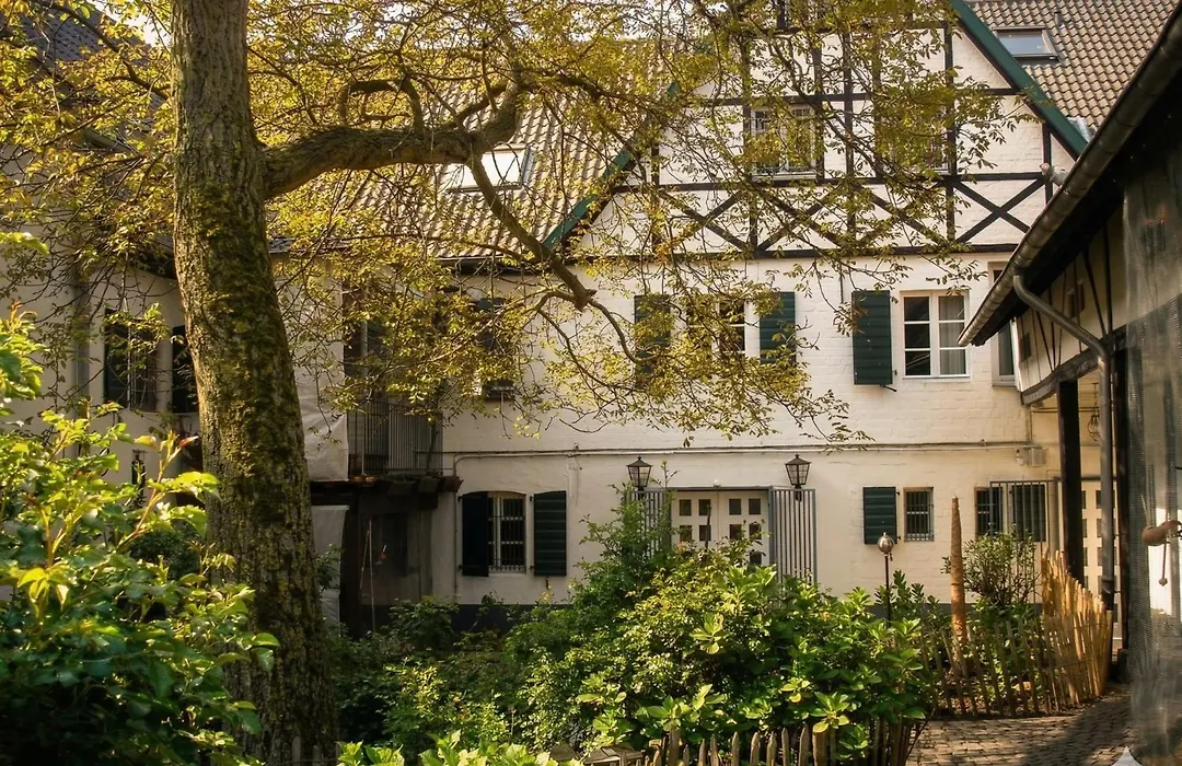Rhein River Guesthouse - Direkt Am Rhein-1