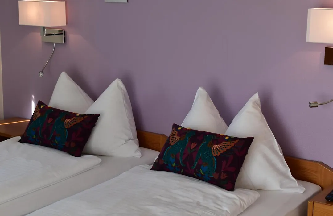 Hotel Friedheim Weggis-1
