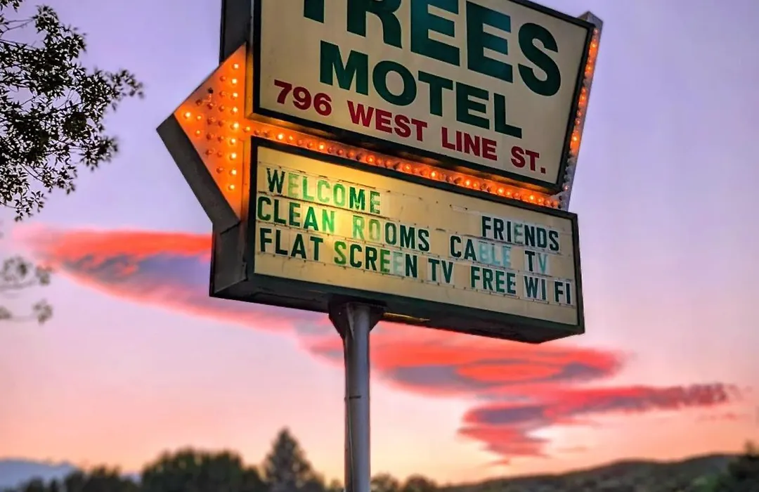 Trees Motel-1
