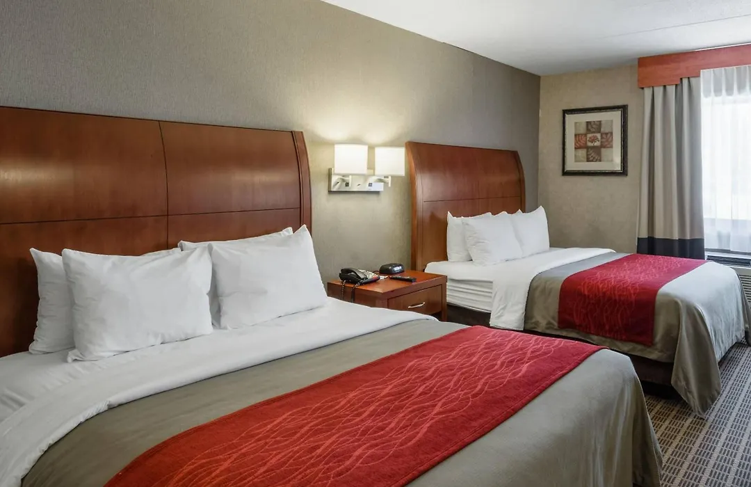 Comfort Inn & Suites West Springfield-1