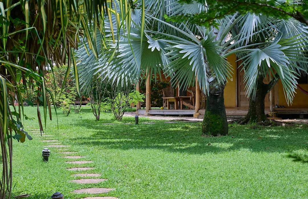 Hotel Playa Negra-1