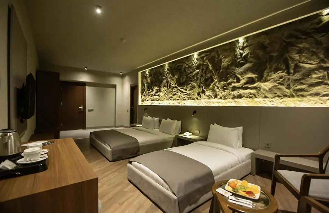 The Erzurum Hotel-1