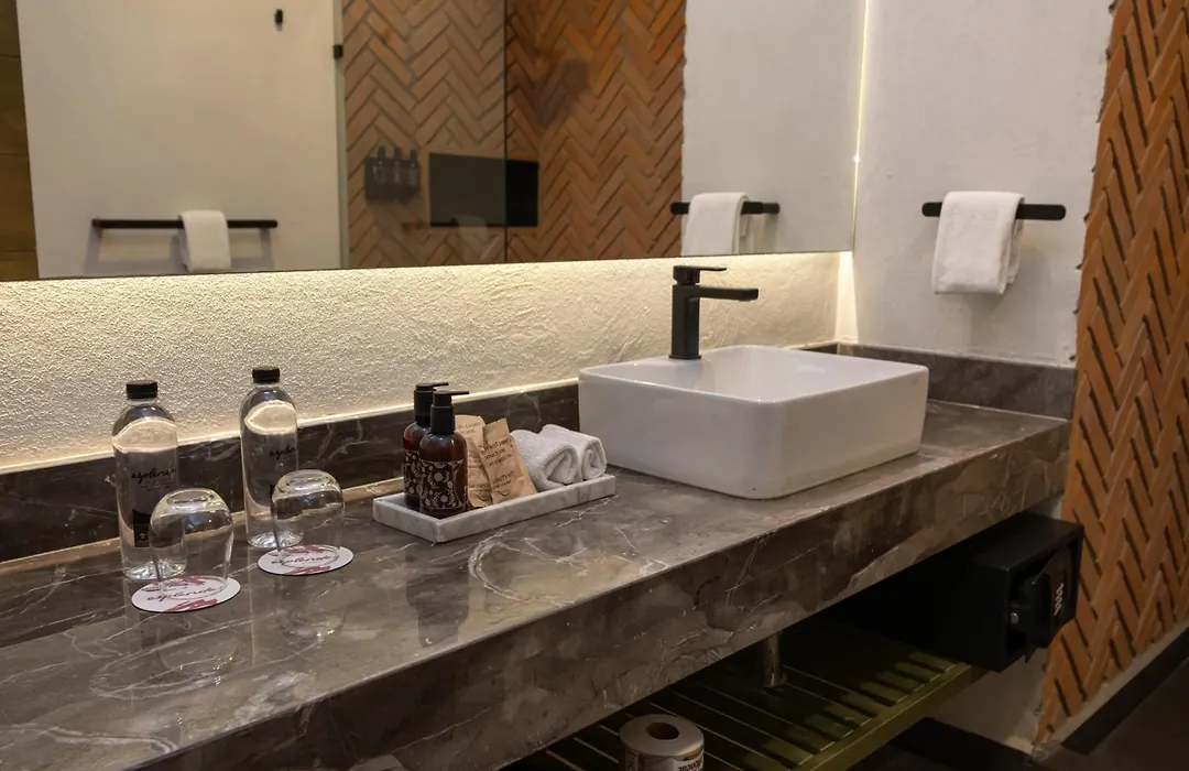 Esplendor by Wyndham San Luis Potosi Monarca-1