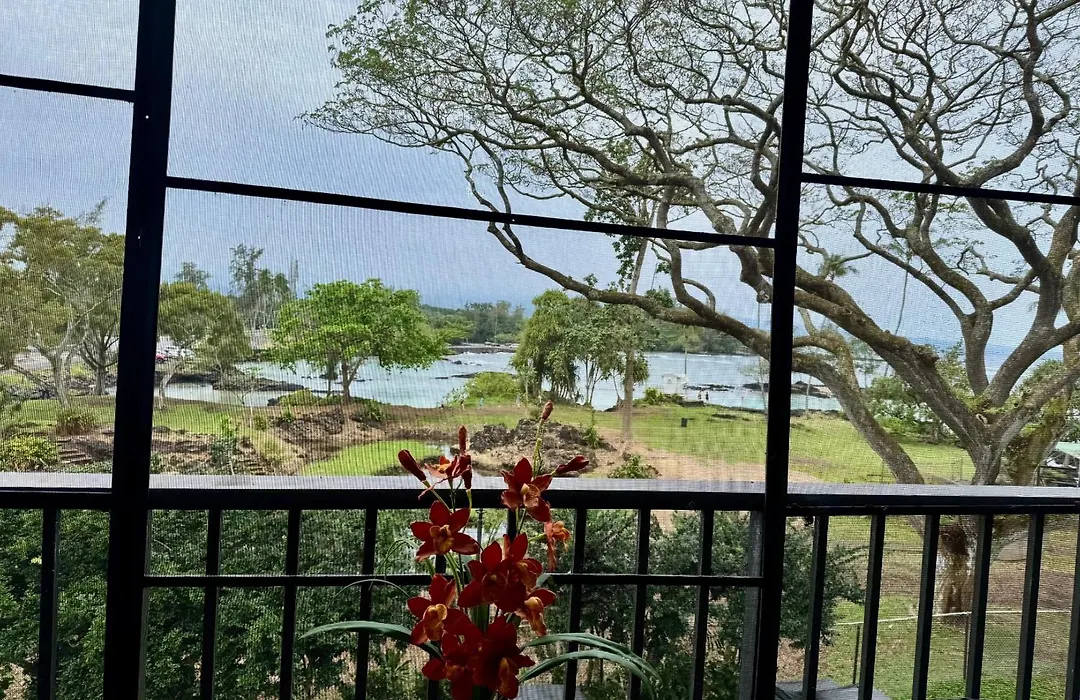 Ocean View Mauna Loa Shores Kai Ekahi #201 Next To Carlsmith Beach Park Hilo Hi-1