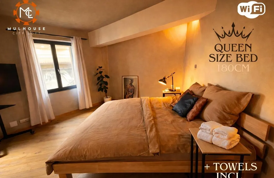 Mulhouse City Loft-1