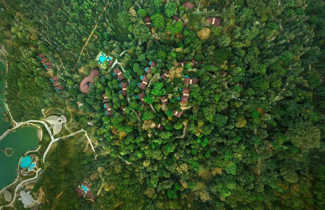 The Leela Coorg Forest Sanctuary-1