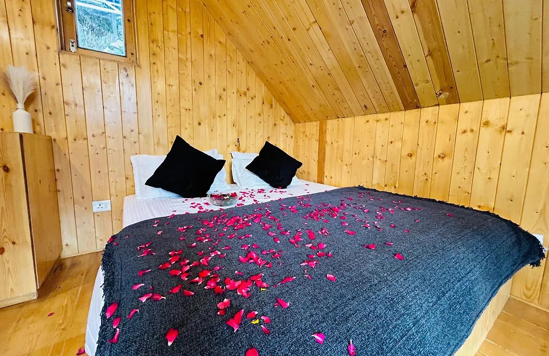 Awe Glamping-1