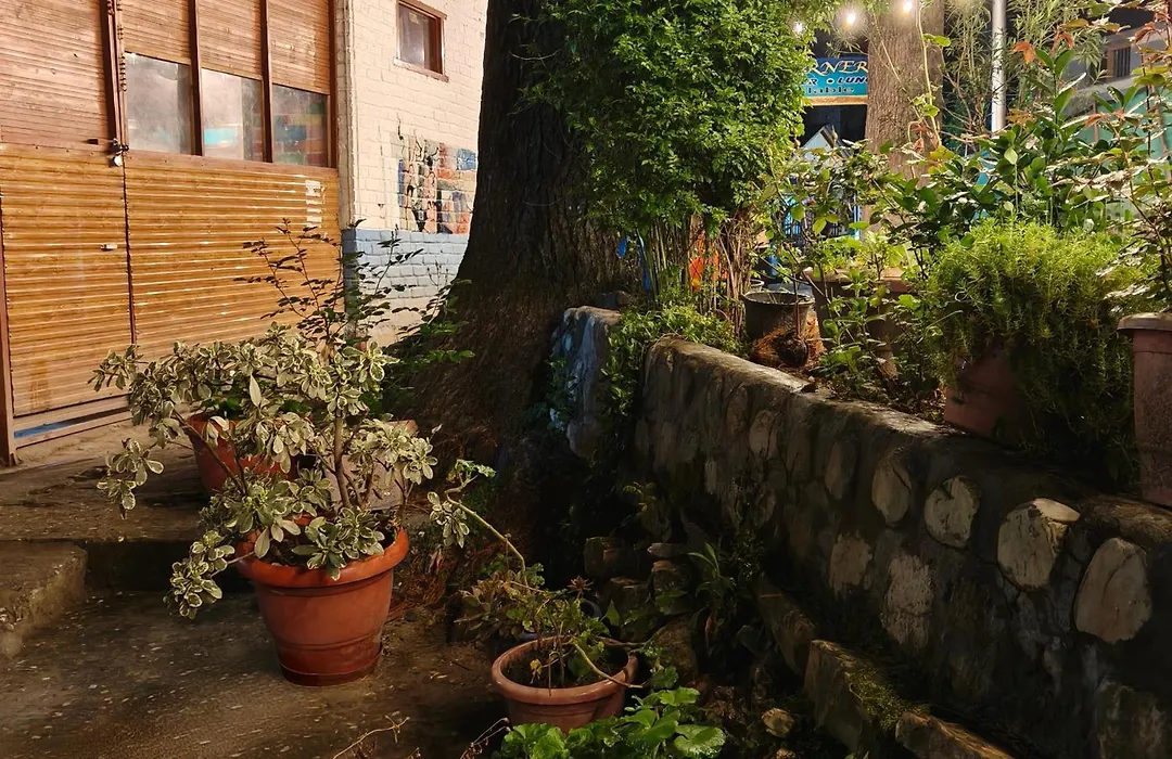 Art Cafe Kasol-1