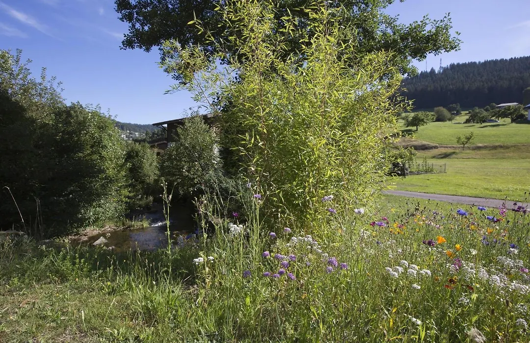 Landhaus Mühlengrund-1
