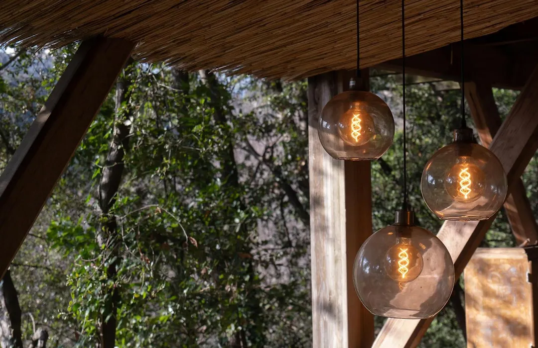 Orion Treehouses-1