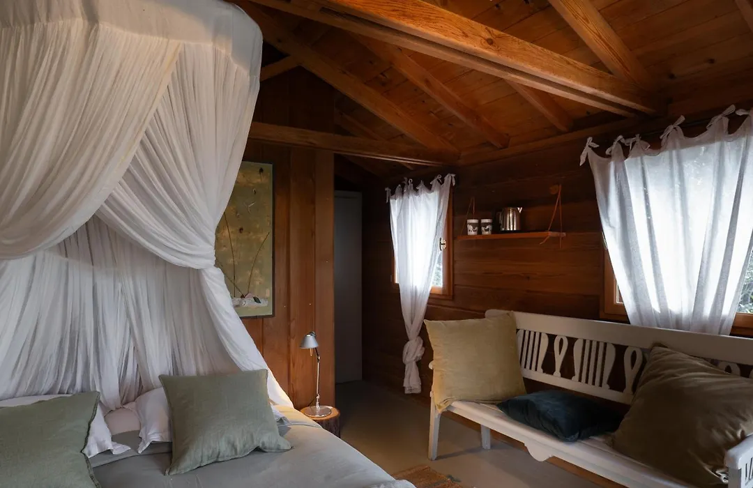 Orion Treehouses-1