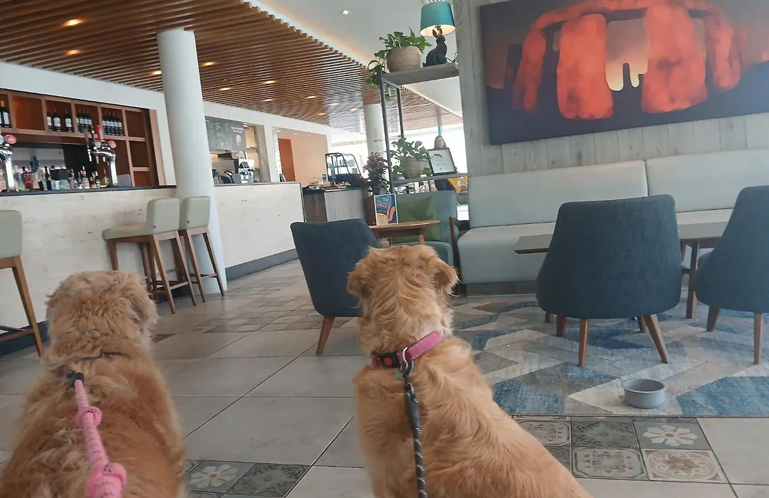 Holiday Inn Salisbury - Stonehenge By Ihg-1