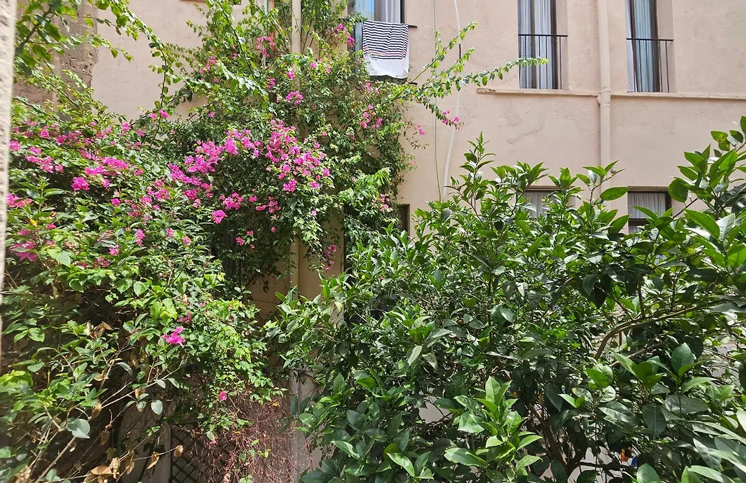Hotel Palermo-1