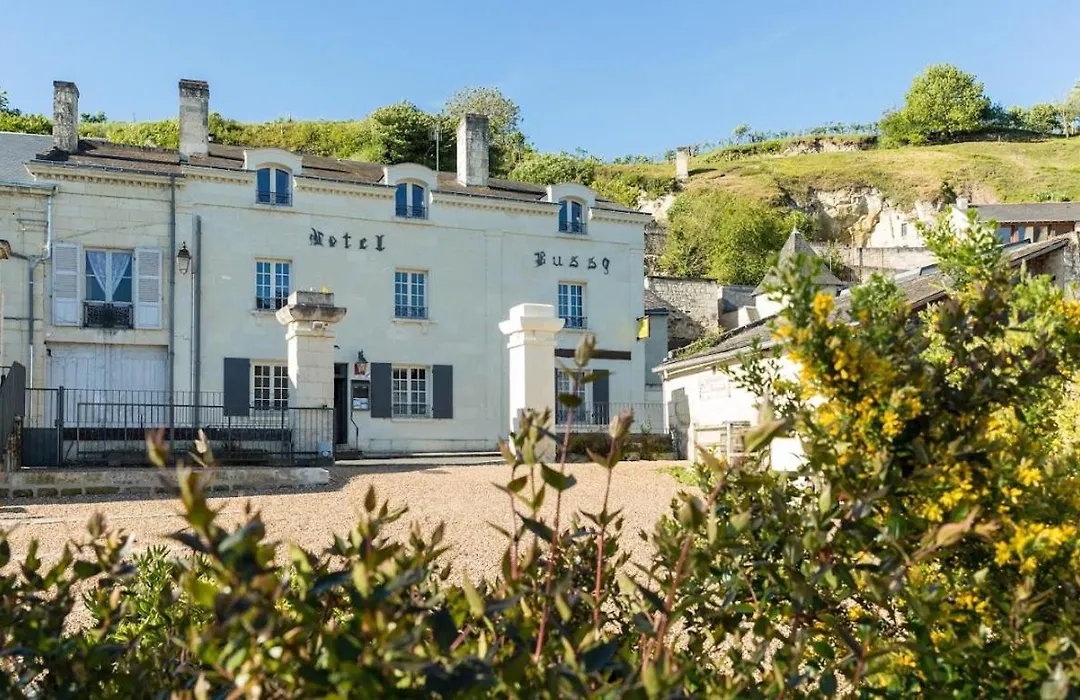 Logis Hotel Le Bussy-1