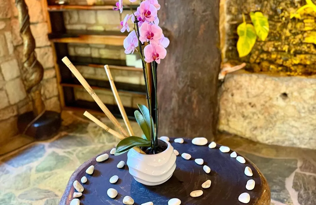 Sueños Tulum-1