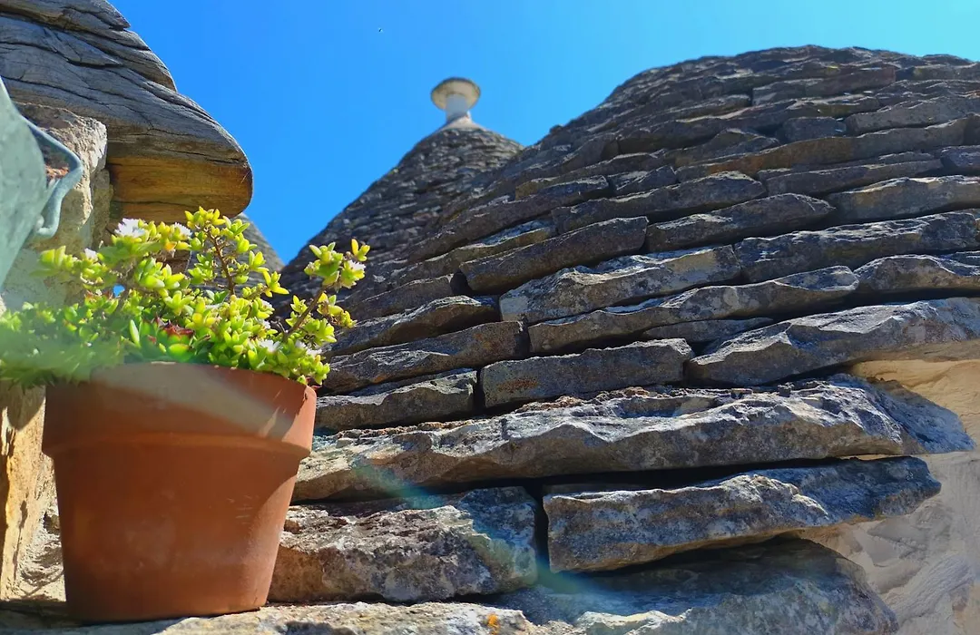 B&B La Rosa Dei Trulli Alberobello-1