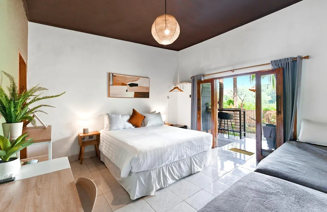The Social - Begadang Gili Air-1