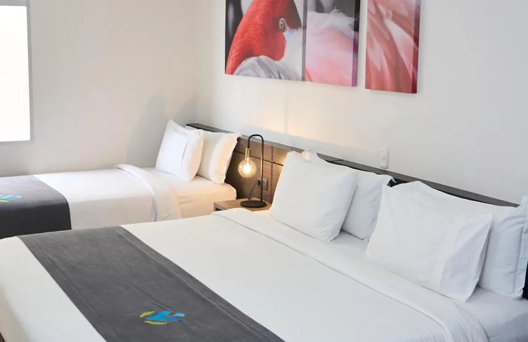 Hotel Vivre-1